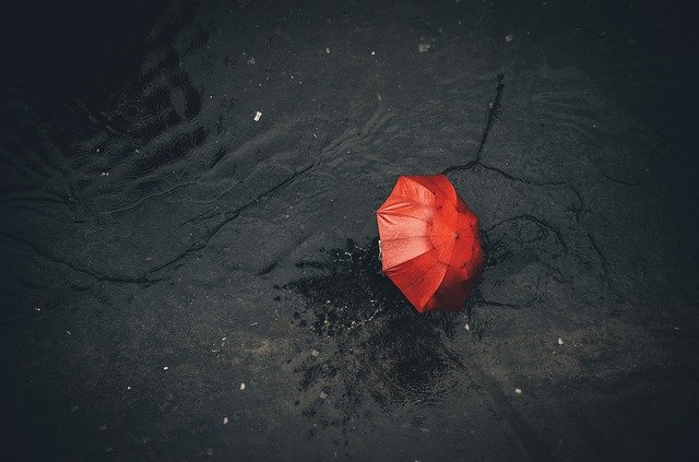 osamocený deštník