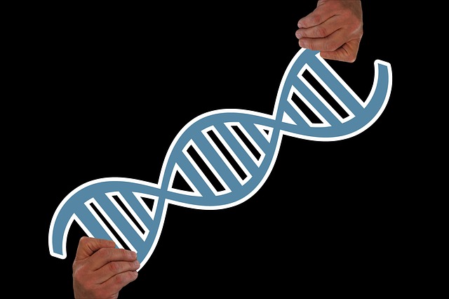 řetězec šroubovice DNA
