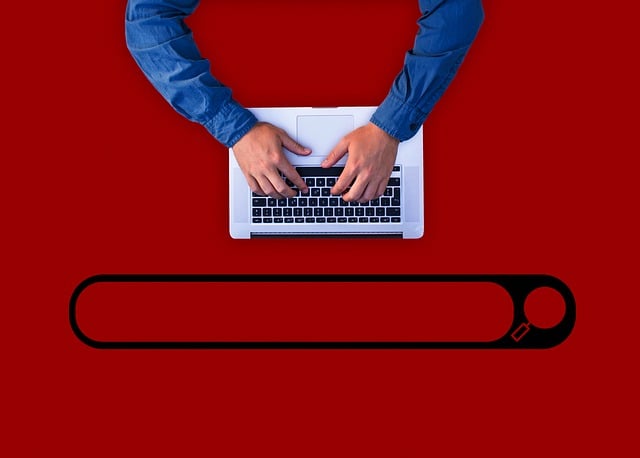 hledání na internetu